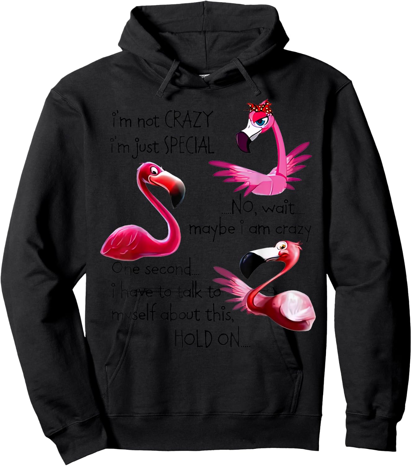 Flamingo I’m Not Crazy I’m Just Special No Wait Maybe Hoodie - Hoodie | Black