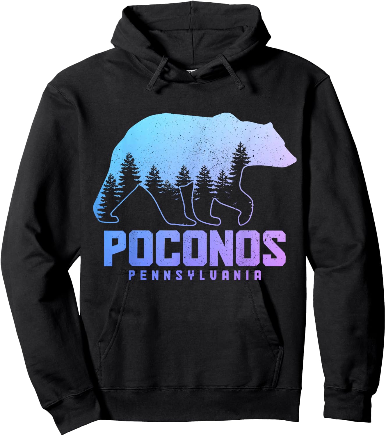 Poconos Pennsylvania Bear Hiking Vintage Pocono Mountains Hoodie - Hoodie | Black