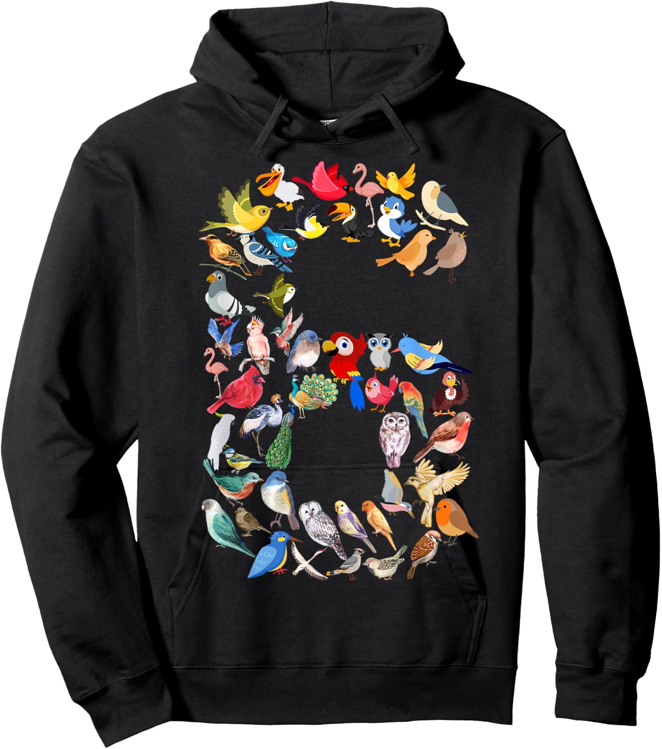 Kids 6th Birthday Birds Themed 6 Year Old Boys Bird Lover Hoodie - Hoodie | Black