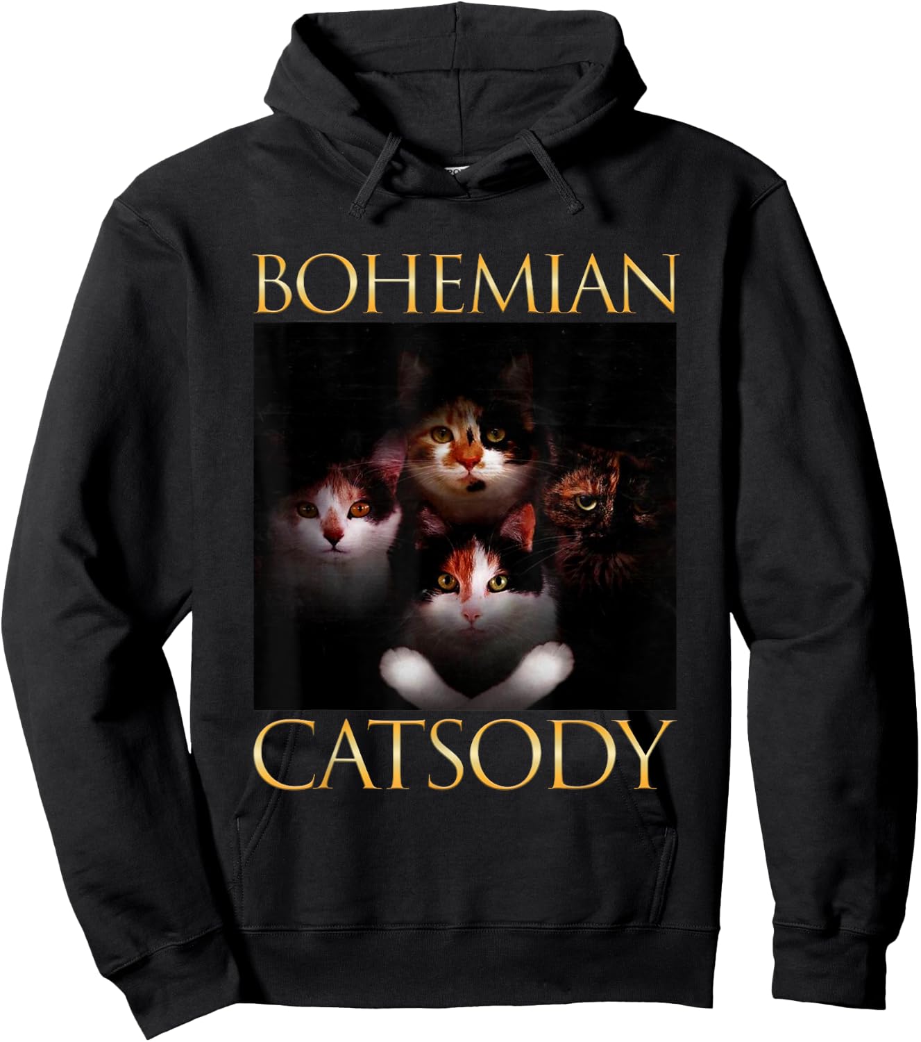 Bohemian Catsody Cats Kittens Meow Parody Funny Cat Lover Women Girls Kids Hoodie - Hoodie | Black