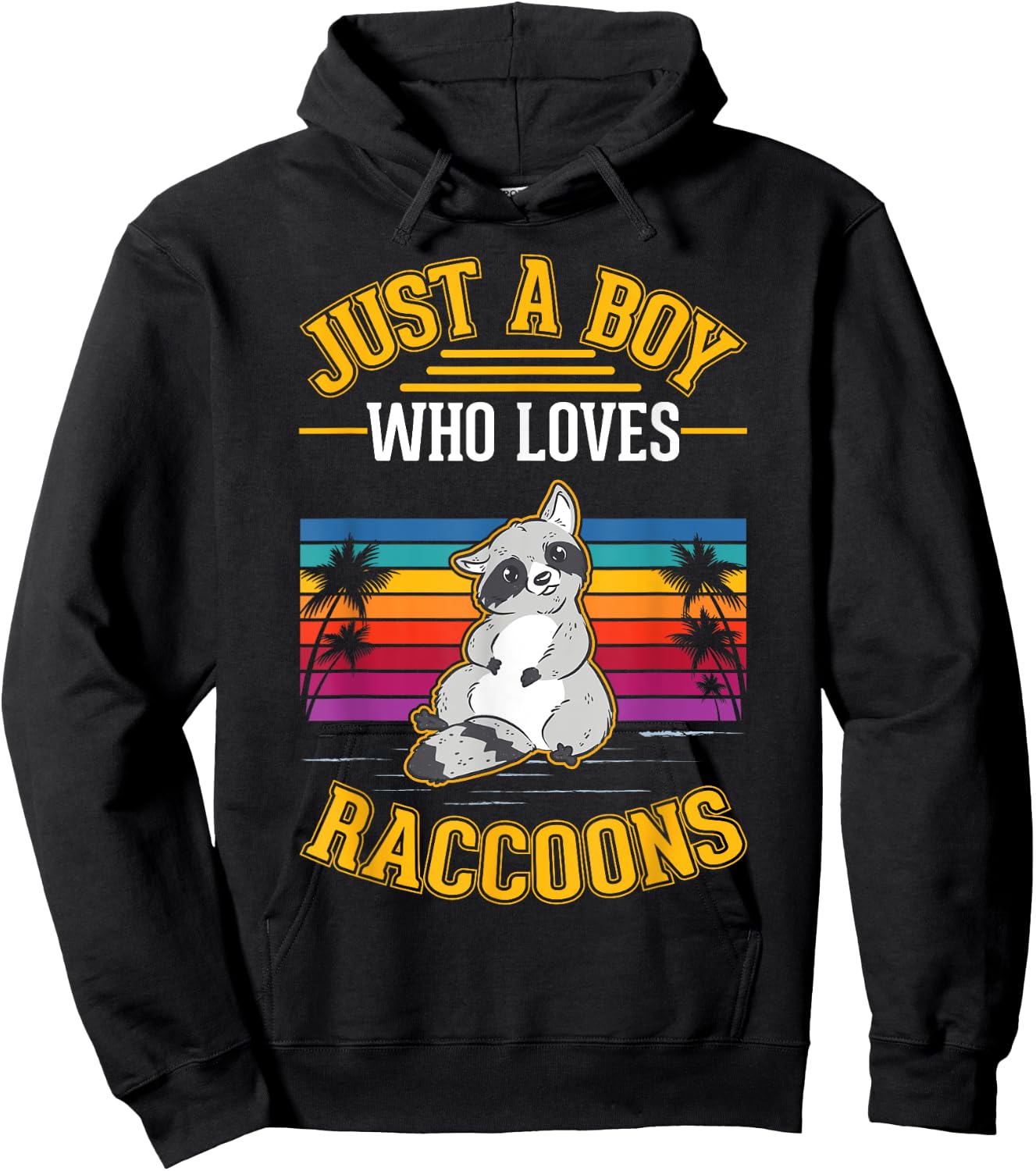 Just a boy who loves Raccoons Hoodie - Hoodie | Black