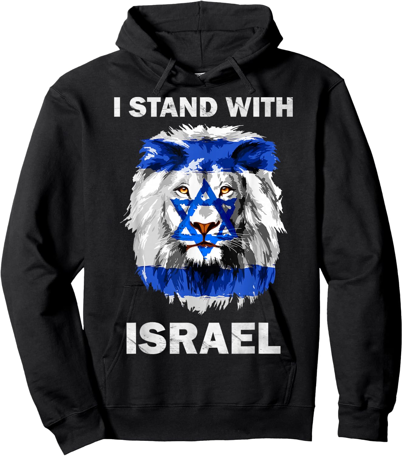 Israel Flag Lion | Jewish Star David | I Stand With Israel Hoodie - Hoodie | Black