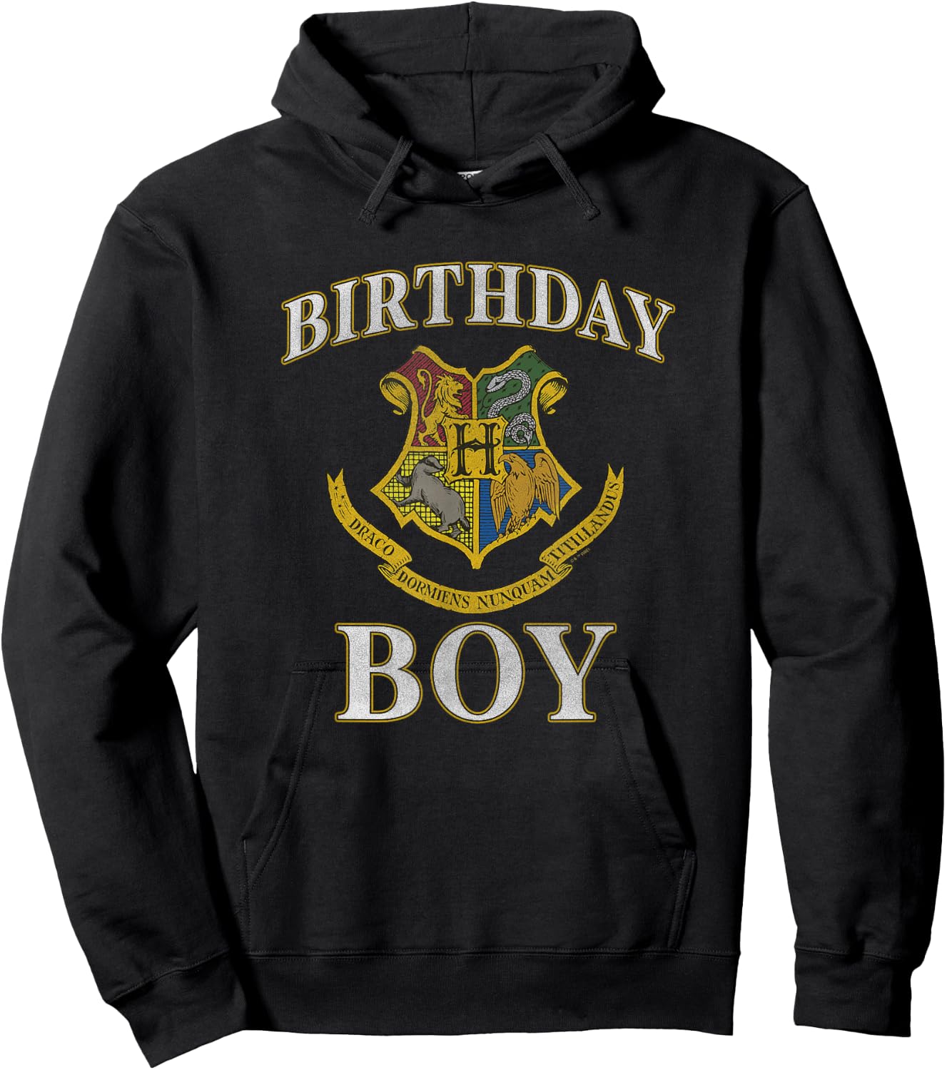 Harry Potter Birthday Boy Hogwarts Iconic Emblem Logo Hoodie - Hoodie | Black