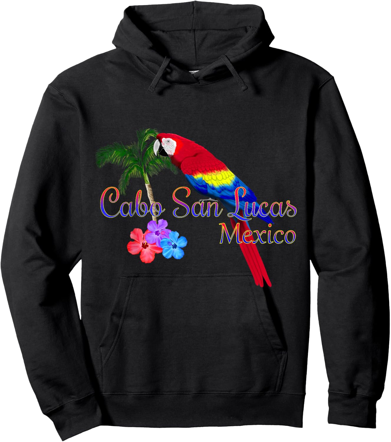Cabo San Lucas Mexico Baja Souvenir Hoodie - Hoodie | Black