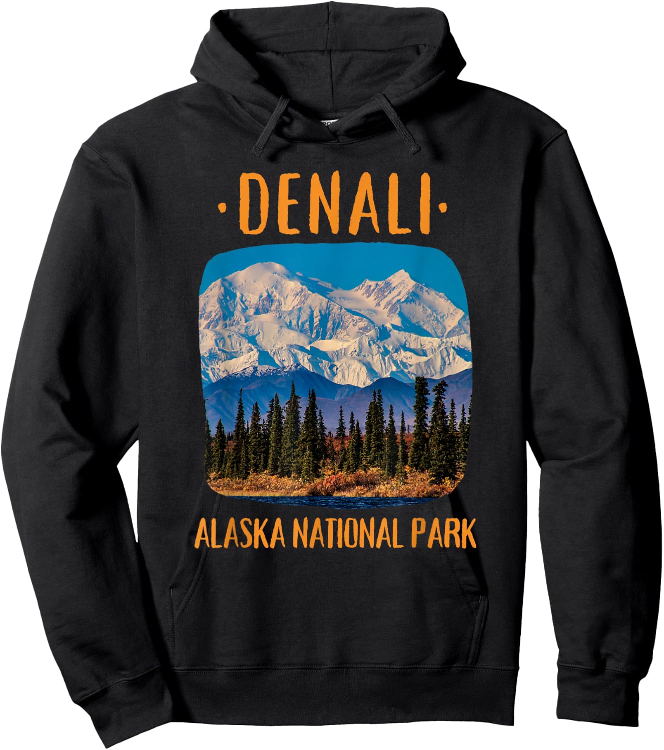 Denali National Park Hoodie - Hoodie | Black