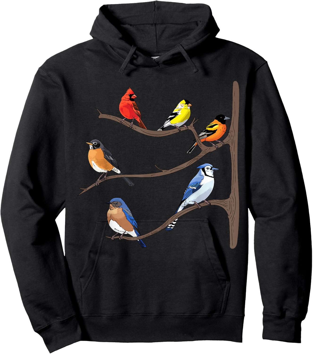 Birds On A Branch Birding Bird-Watching Birder Bird Watcher Hoodie - Hoodie | Black