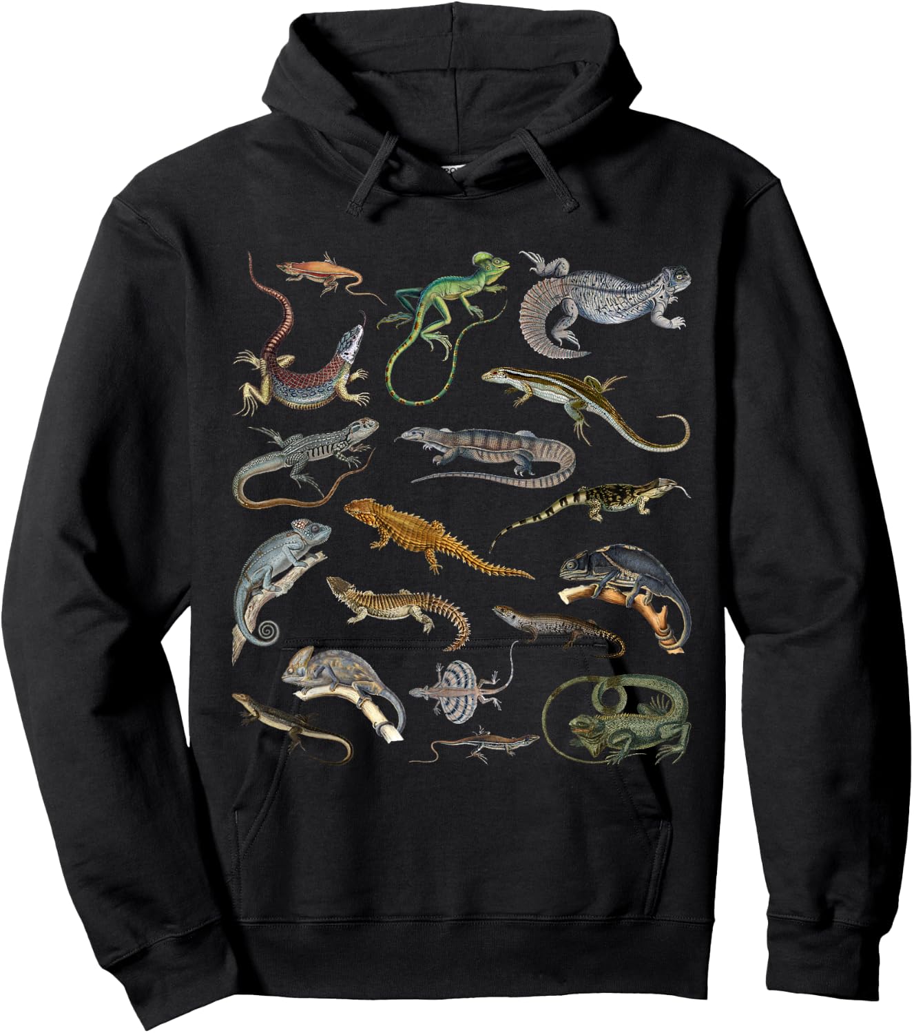 Lizards Collage Reptile Types Of Lizards Cool Lizards Lover Hoodie - Hoodie | Black