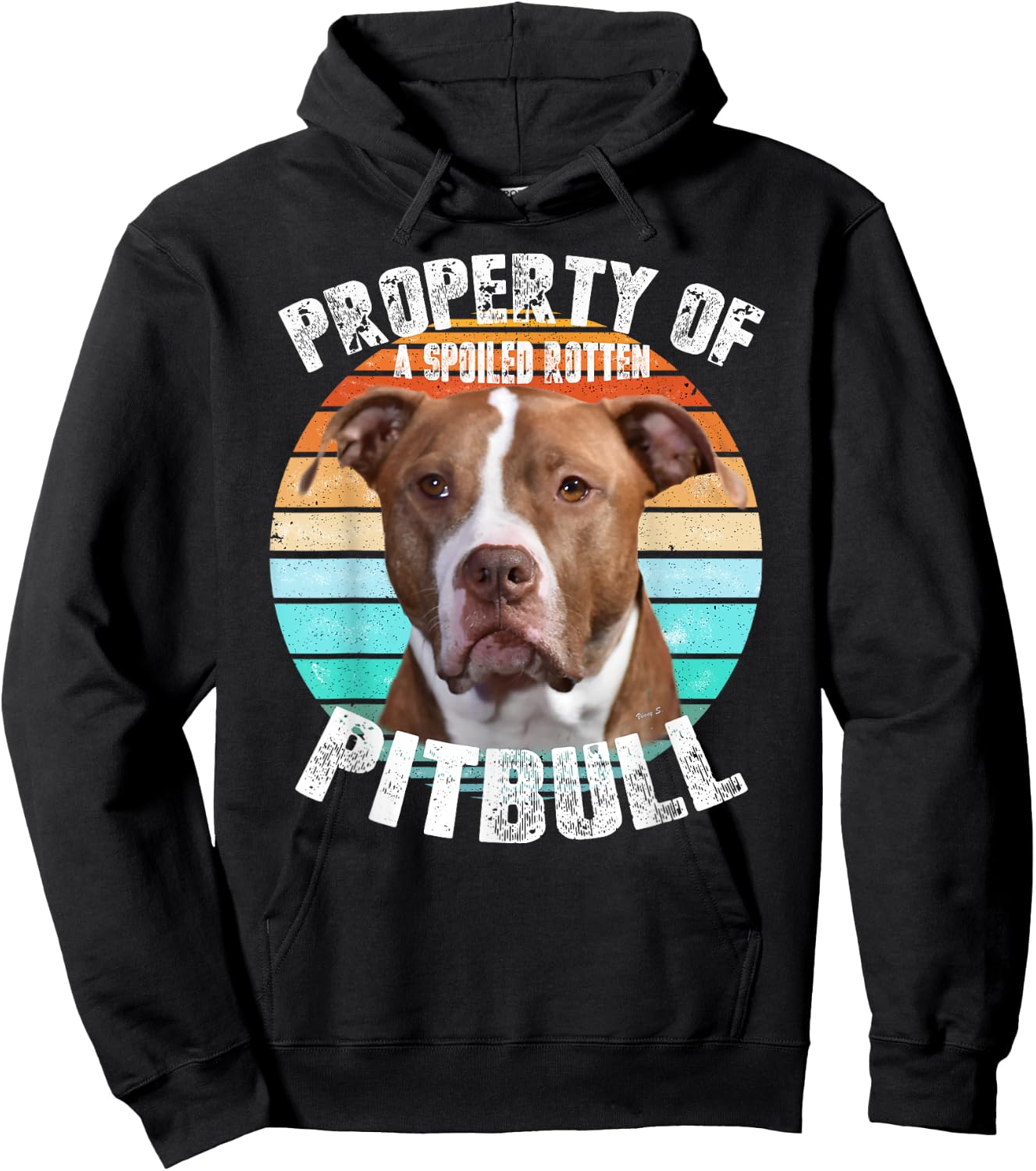 Pit Bull Owner Lover Retro Pitbull Hoodie - Hoodie | Black