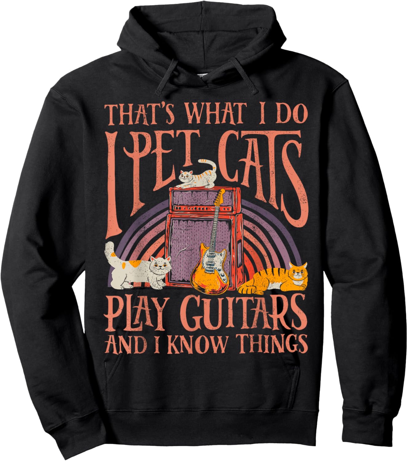 I Pet Cats Play Guitars Guitarist Music Lover Retro Vintage Hoodie - Hoodie | Black