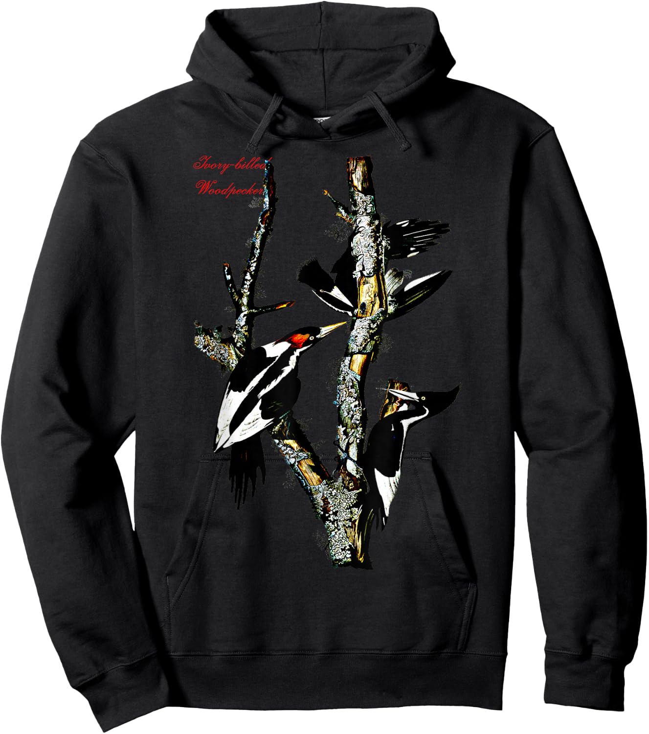 Audubon Ivory-billed Woodpecker North American Birds Hoodie - Hoodie | Black