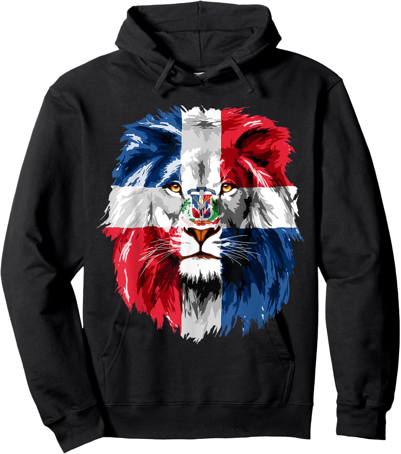 Dominican Republic Flag Lion Face Flag of The Dominican Hoodie - Hoodie | Black