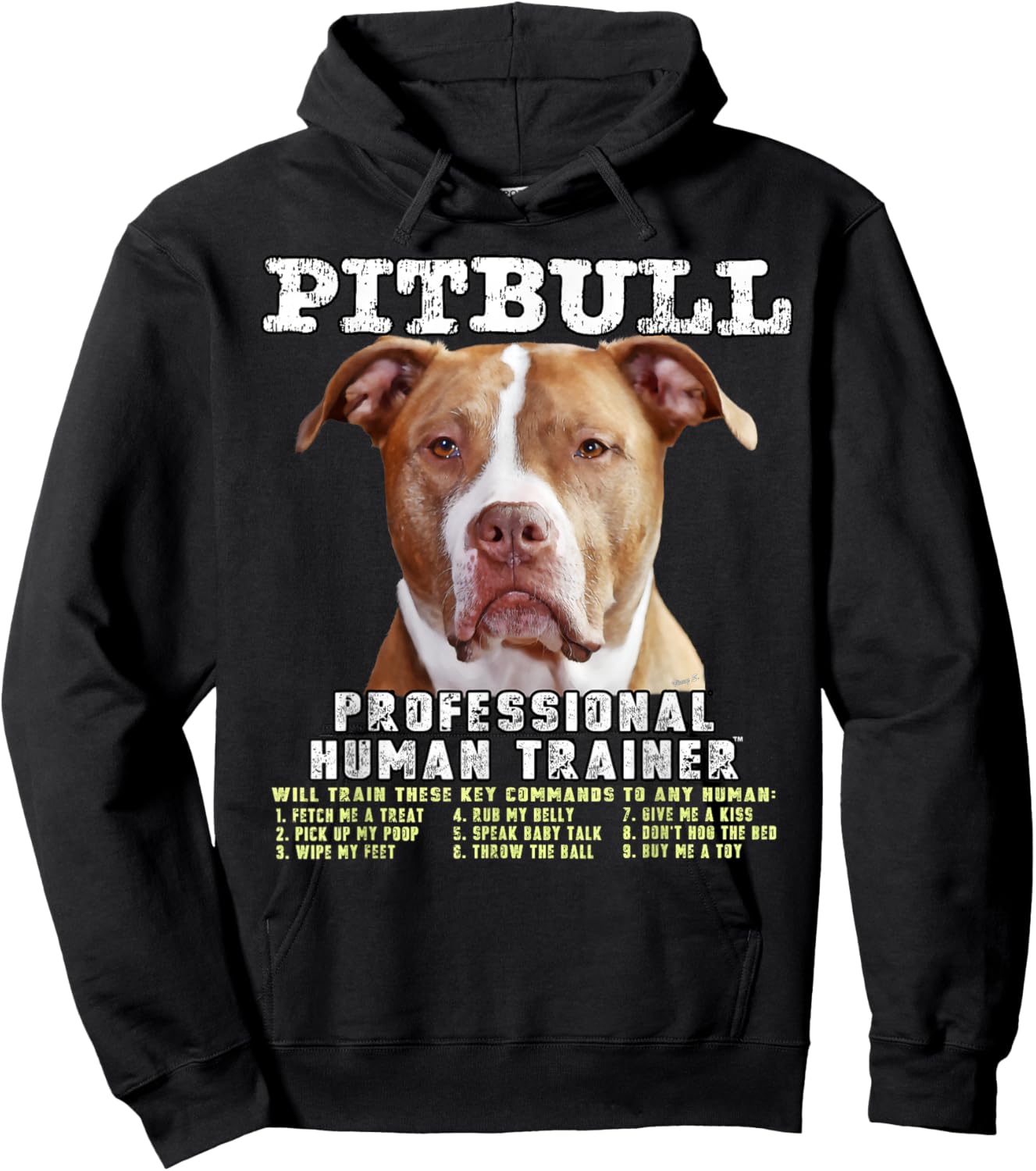 Pitbull Pit Bull Pittie Owner Professional Human Trainer Hoodie - Hoodie | Black