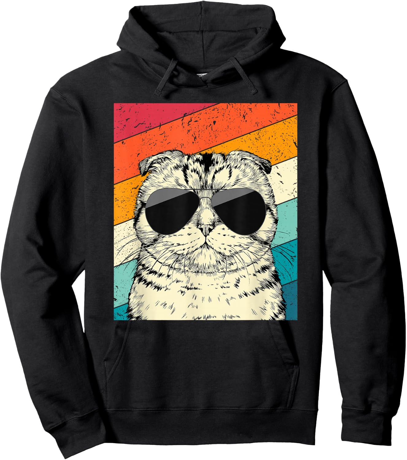 Retro Vintage Scottish Fold Cat with Sunglasses Cat Lovers Hoodie - Hoodie | Black