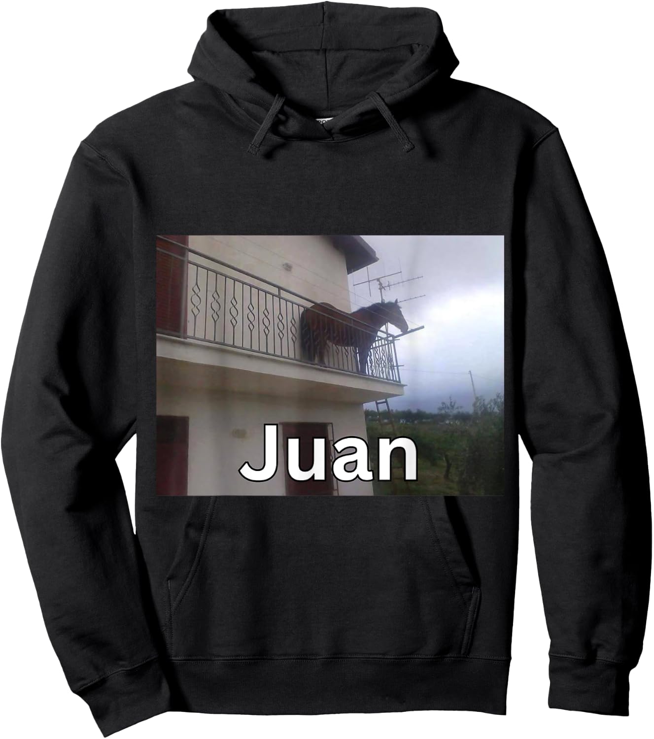 Funny Juan Horse on Balcony Meme Hoodie - Hoodie | Black