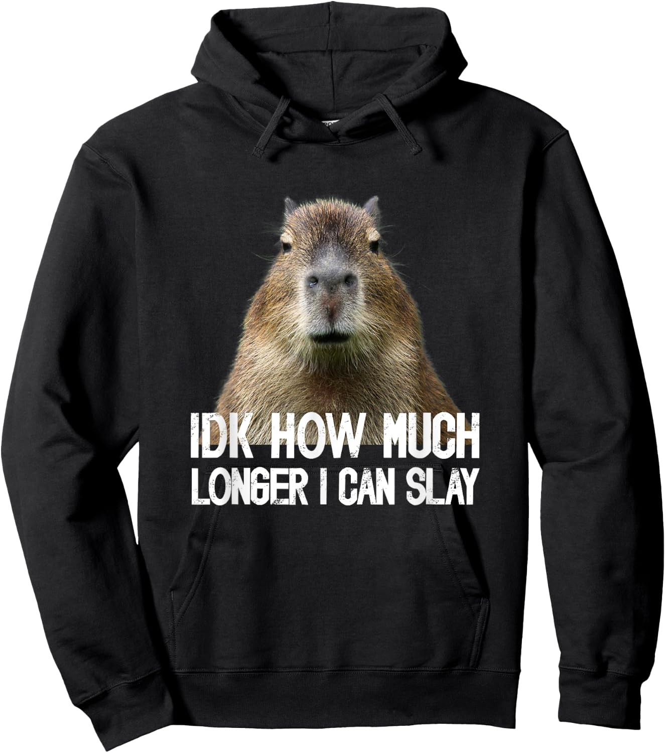 Idk How Much Longer I Can Slay Capybara Sarcastic Dank Meme Hoodie - Hoodie | Black