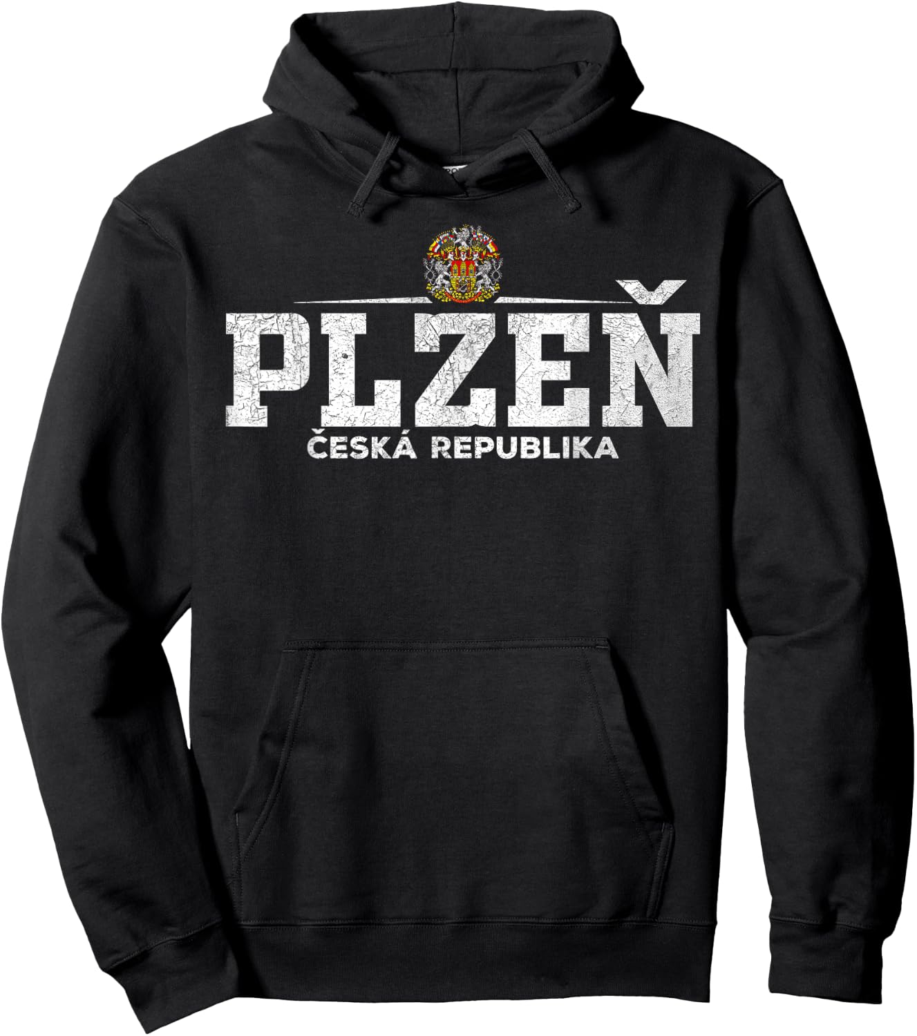 Plzen / Pilsen Czech Republic / Ceska Republika Hoodie - Hoodie | Black