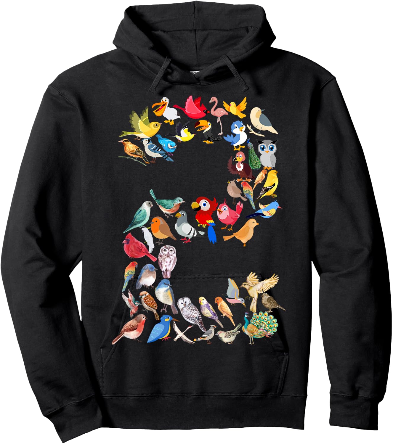 Toddler 2nd Birthday Birds Themed 2 Year Old Kids Bird Lover Hoodie - Hoodie | Black