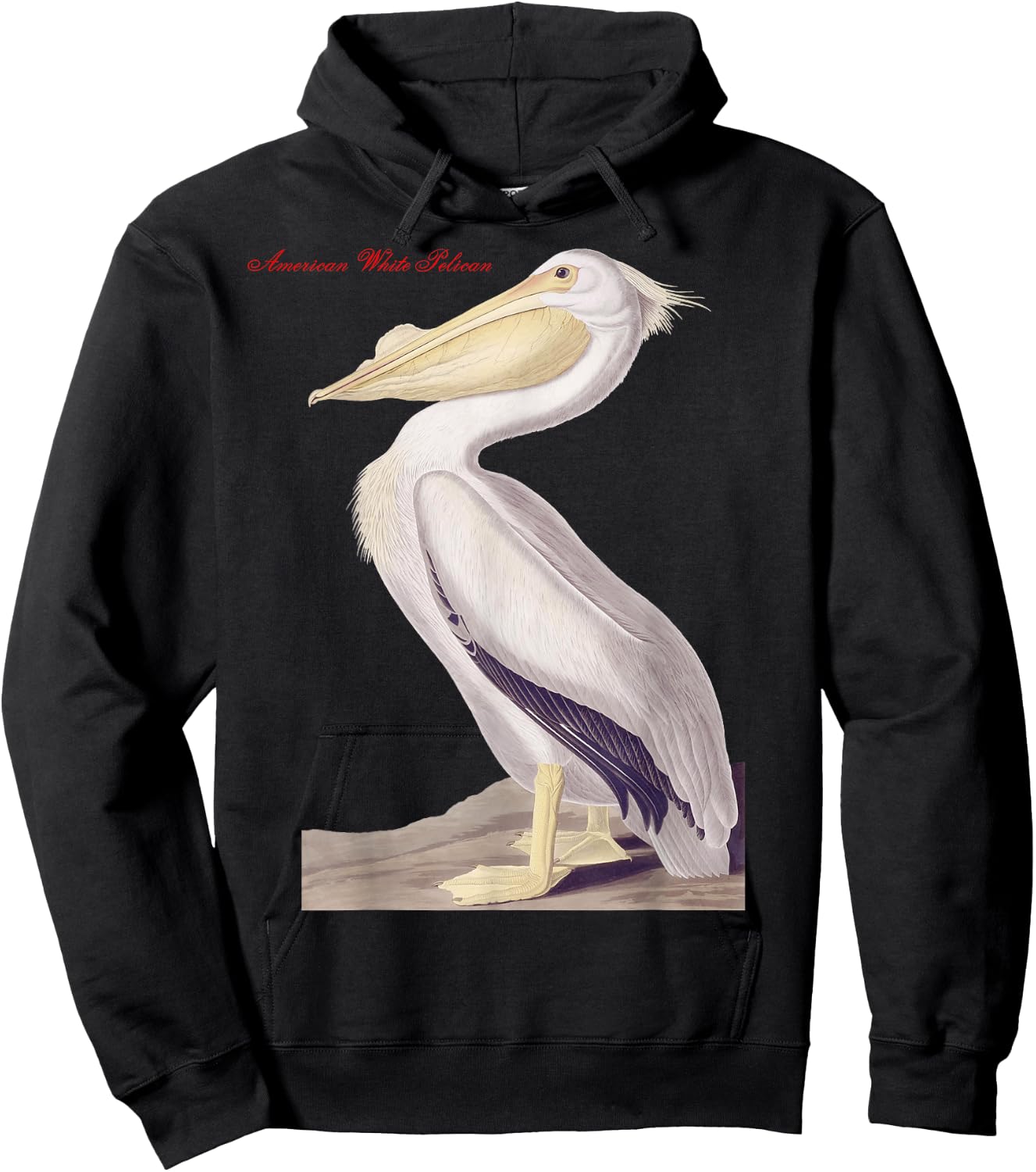 Audubon American White Pelican Birds Education Nature Hoodie - Hoodie | Black