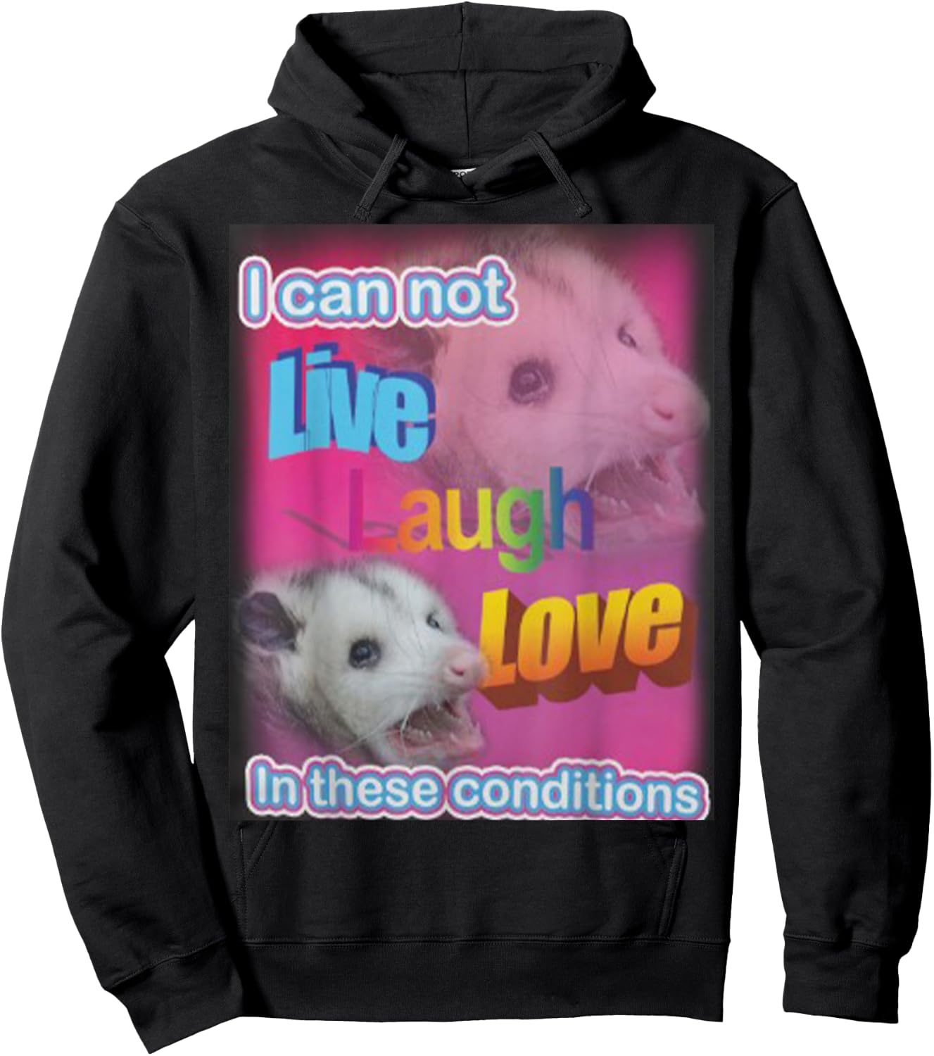 I can not live laugh love in these conditions Raccoon Hoodie - Hoodie | Black