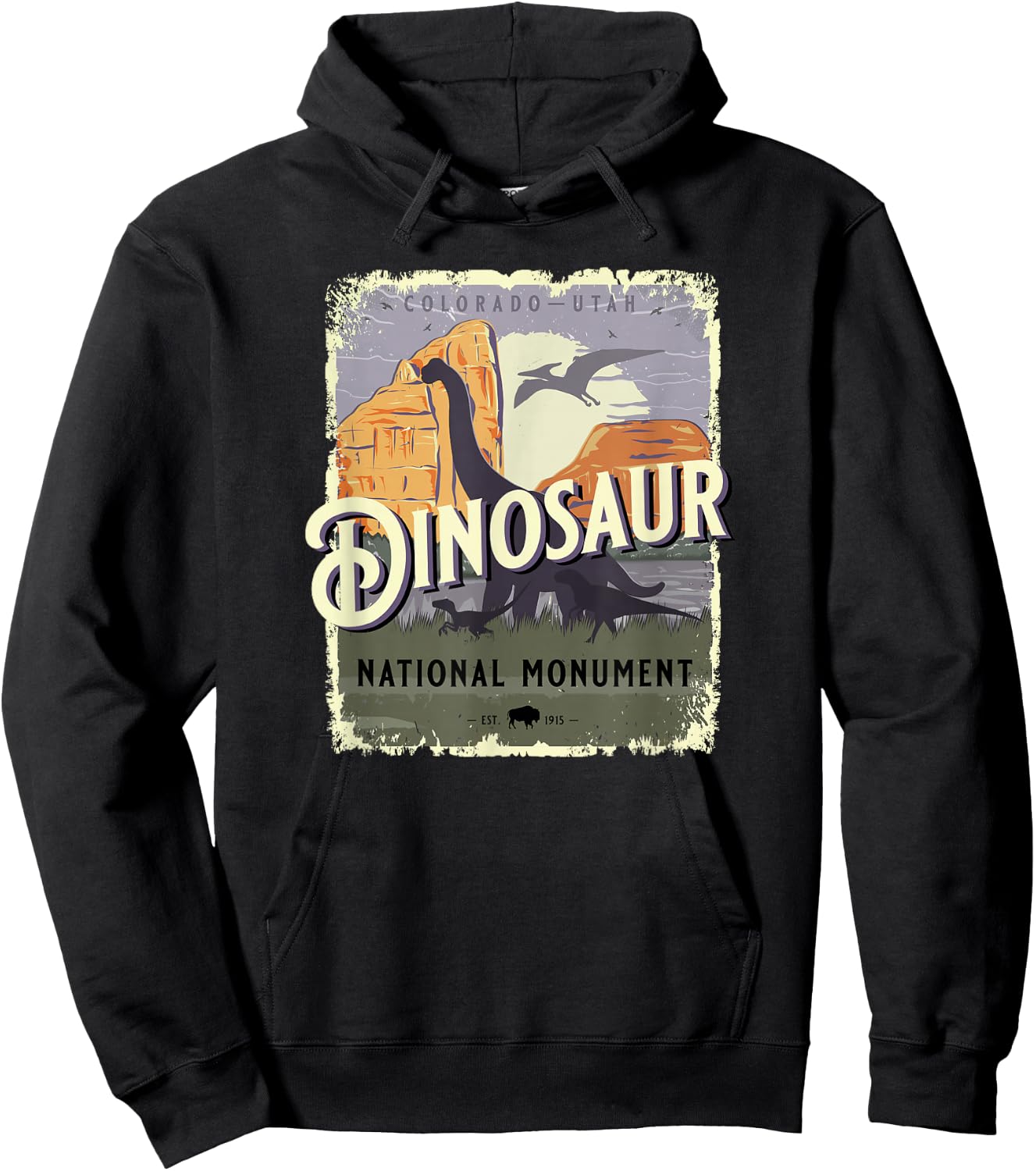 Dinosaur National Monument Colorado Utah USA Souvenir Hoodie - Hoodie | Black