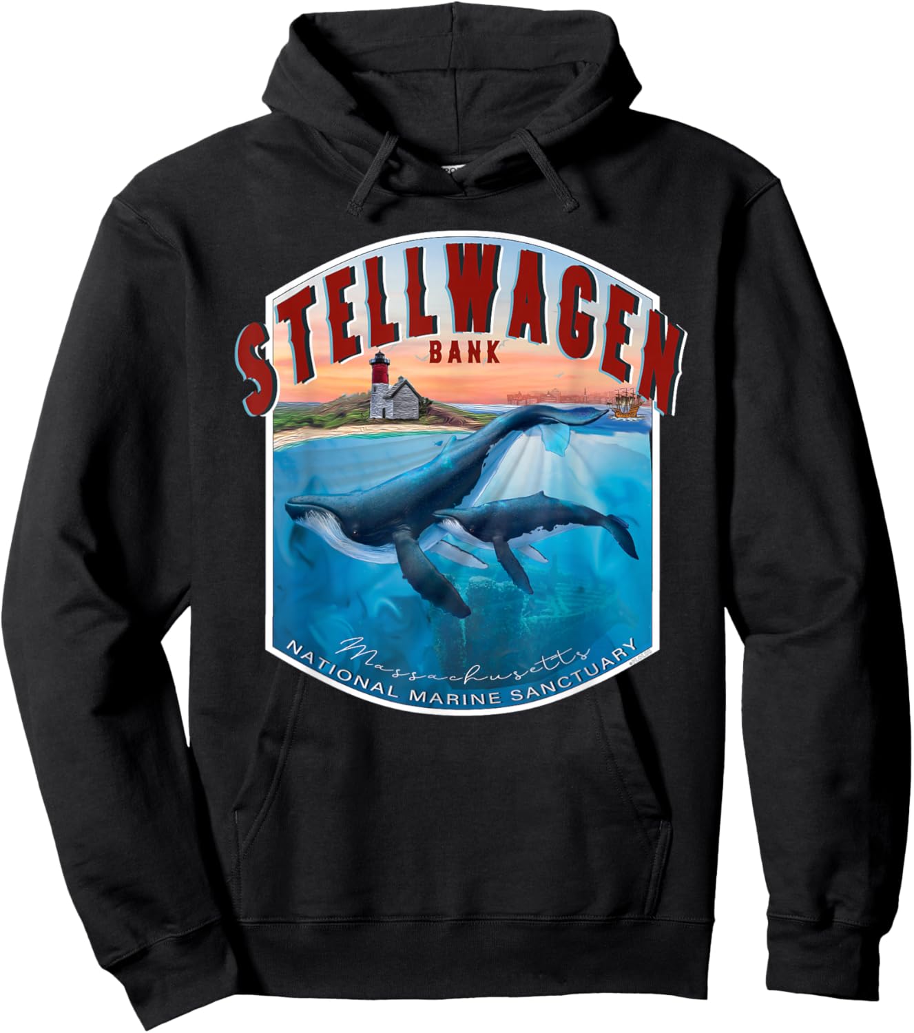 Stellwagen Banks National Marine Sanctuary Atlantic Coast Hoodie - Hoodie | Black