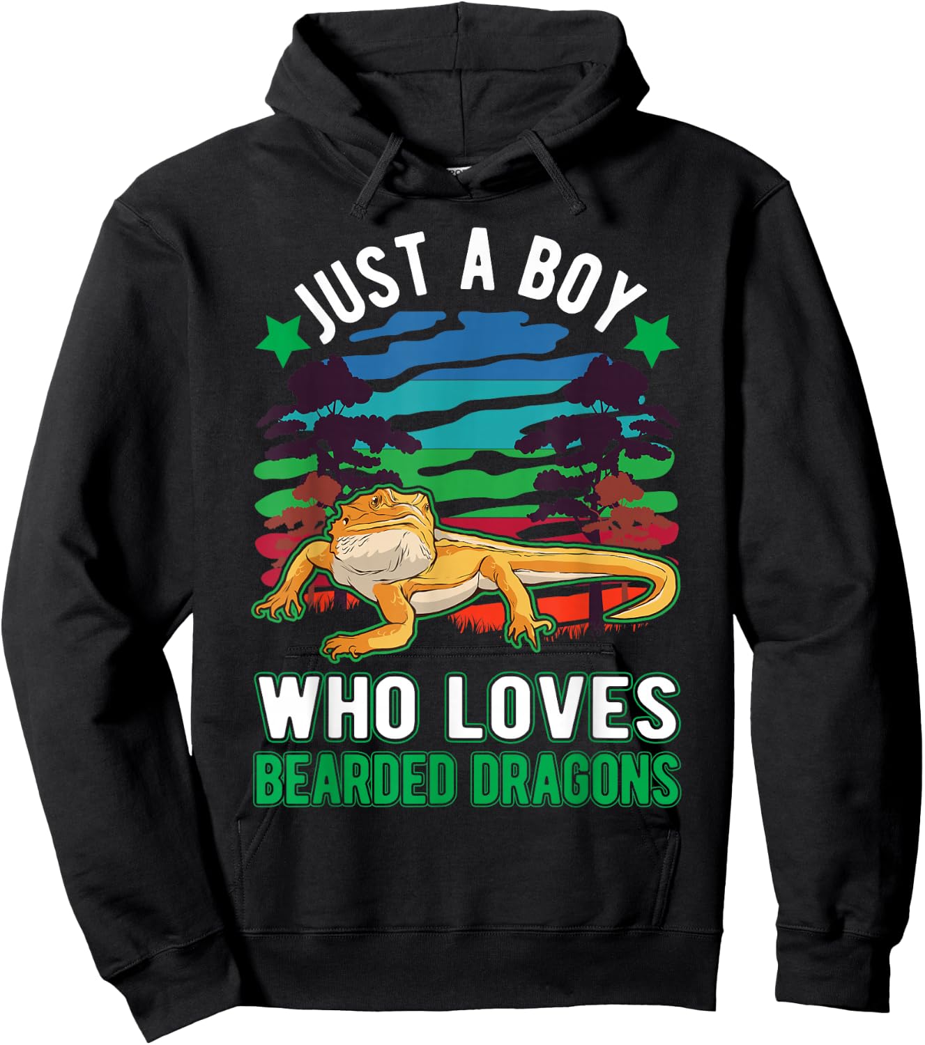 Just a boy who loves Bearded Dragons Hoodie - Hoodie | Black