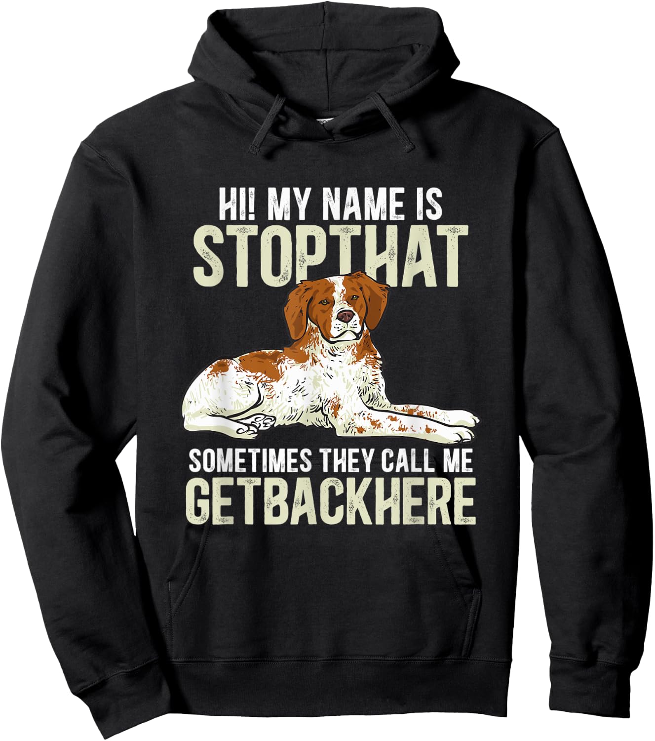 Brittany Spaniel Funny Brittany Dog Hoodie - Hoodie | Black