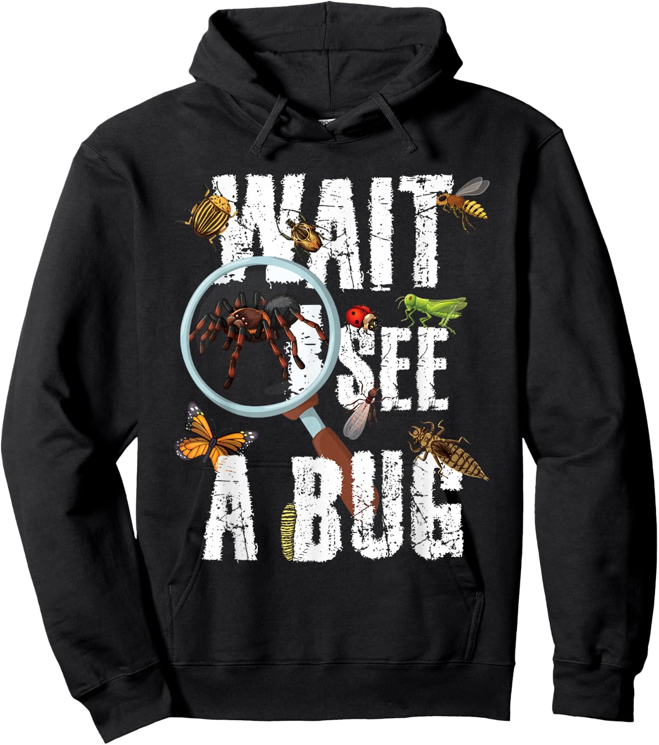 Insects of The World Bug Lover Expert Entomologist Bugs Fan Hoodie - Hoodie | Black