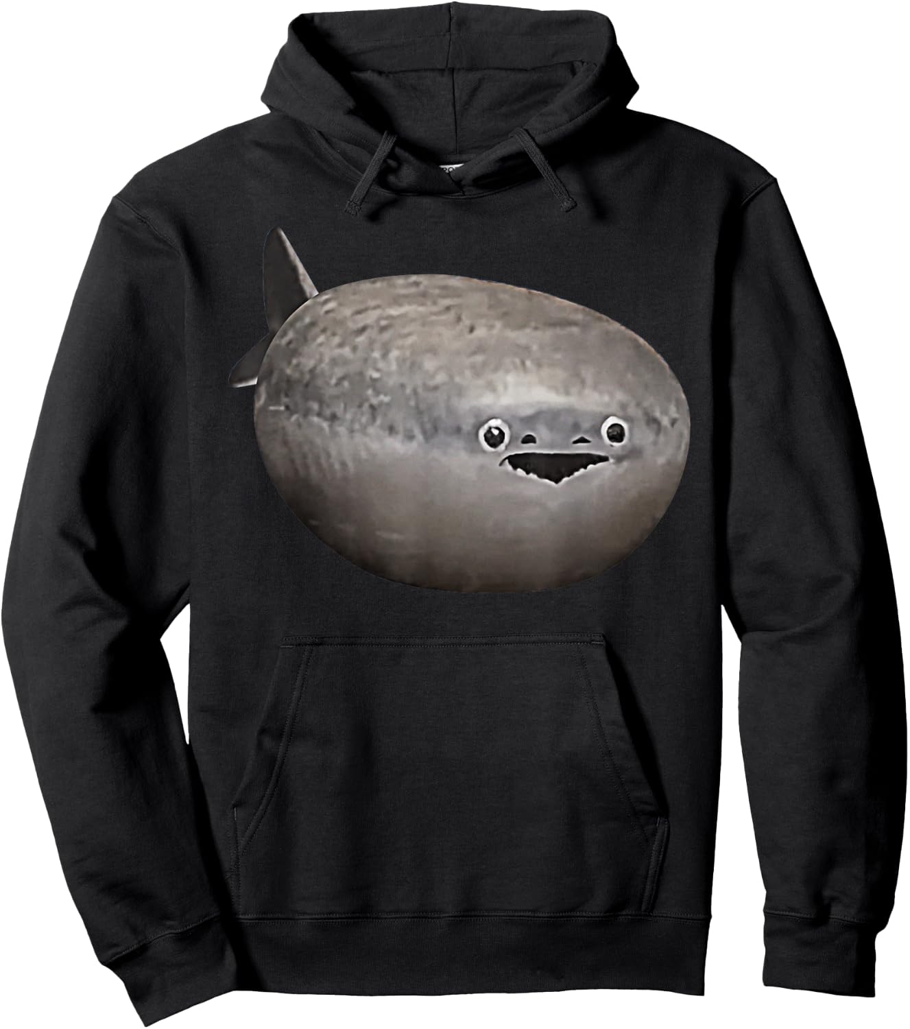 Sacabambaspis Fish Meme Realistic Hoodie - Hoodie | Black
