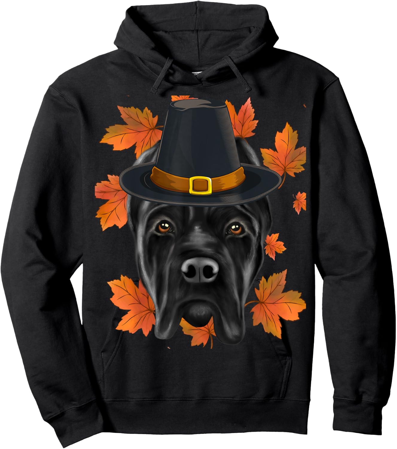 Fall Cane Corso Pilgrim Thanksgiving Hoodie - Hoodie | Black