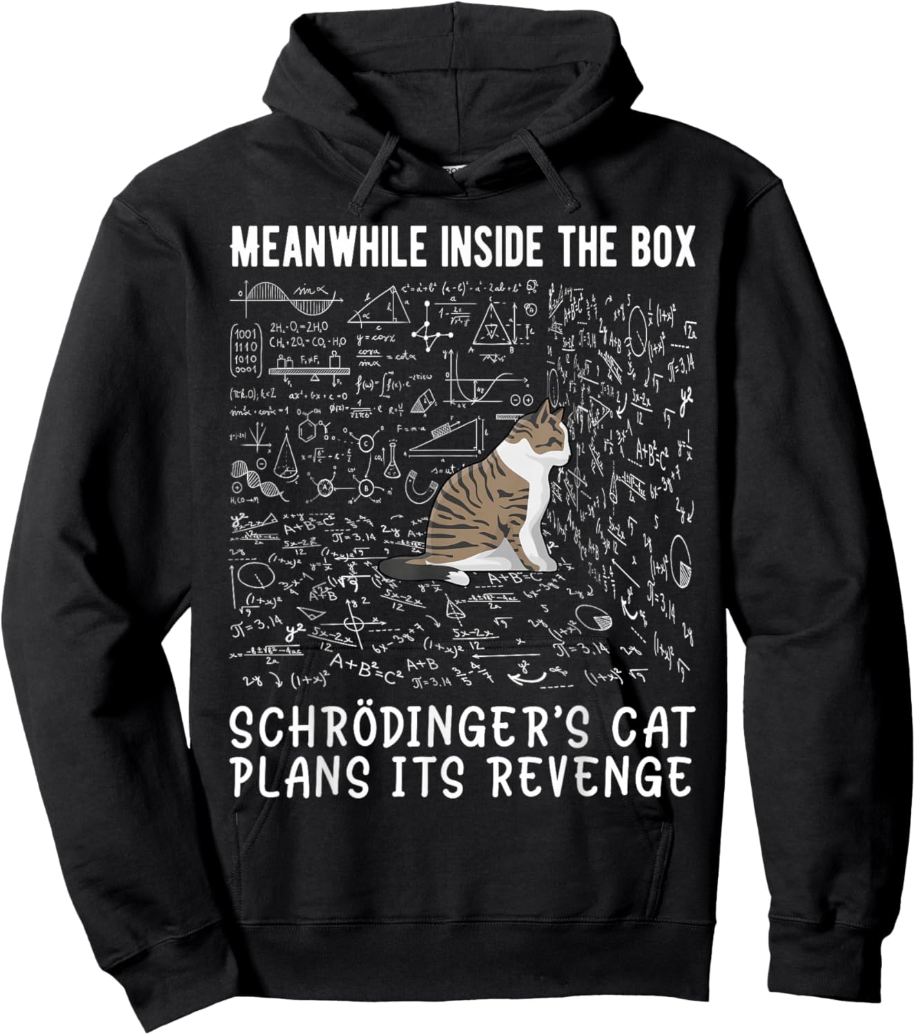 Meanwhile Inside The Box Schrödingers cat Plans its Revenge Hoodie - Hoodie | Black