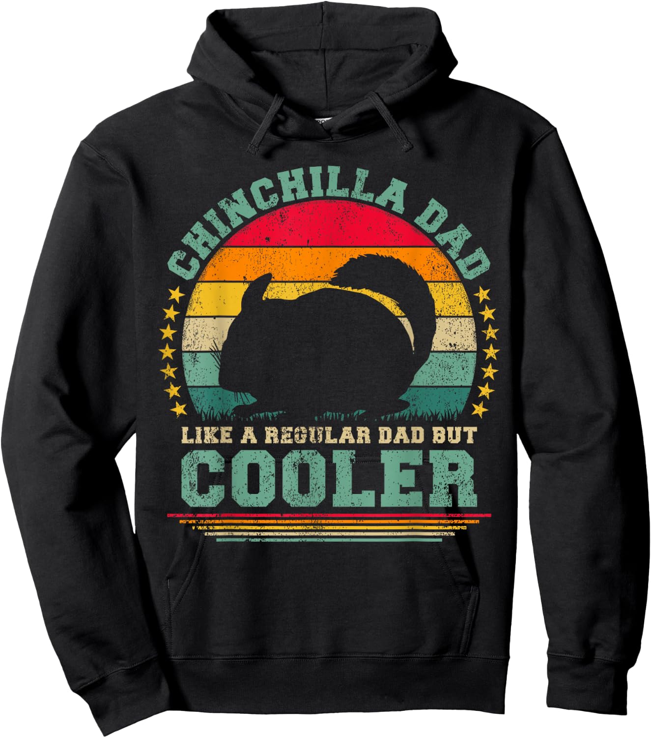 Chinchilla Dad Like A Regular Dad But Cooler Father's Day Hoodie - Hoodie | Black