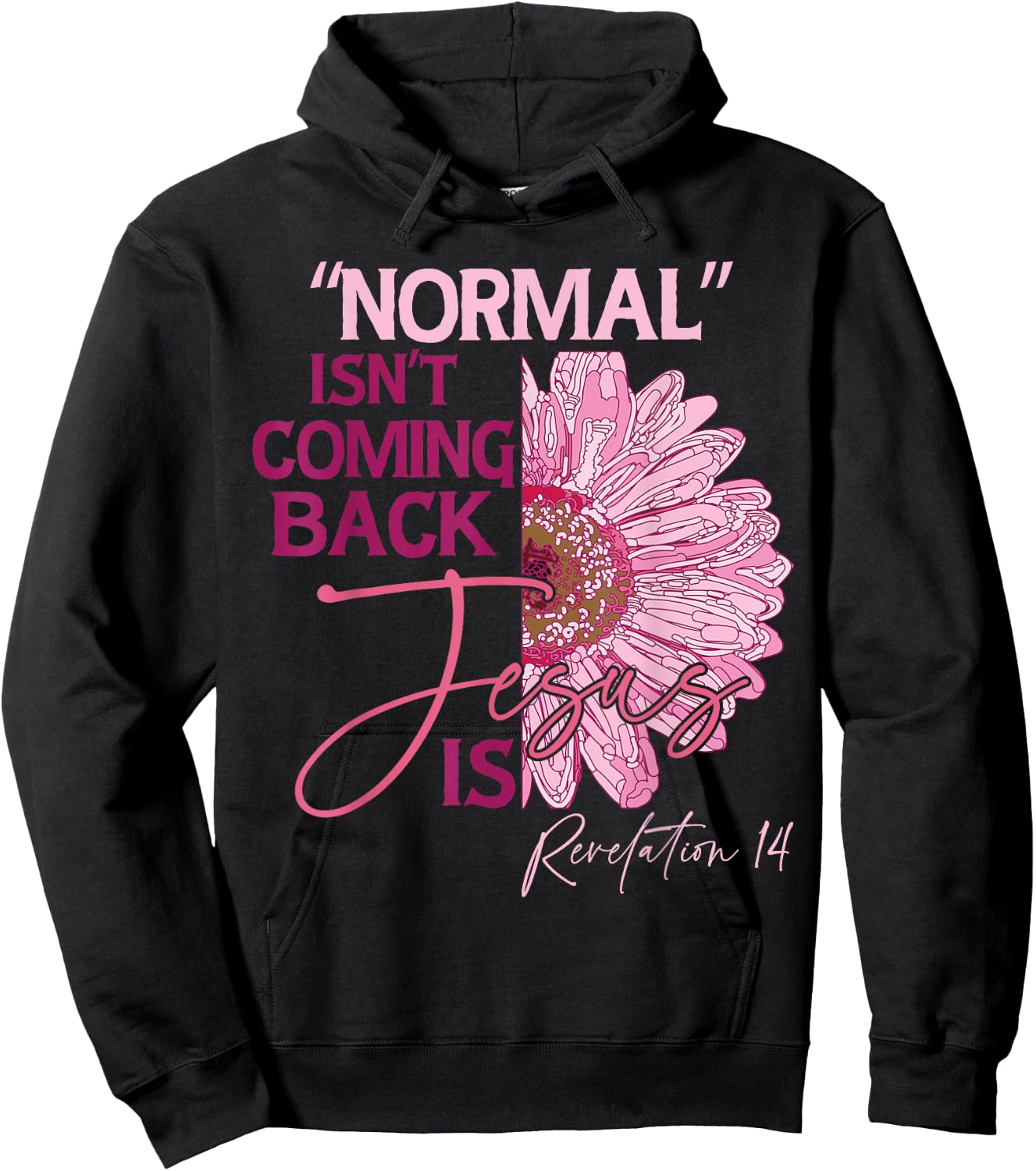 Normal Isn't Coming Back Jesus Is Hoodie - Hoodie | Black