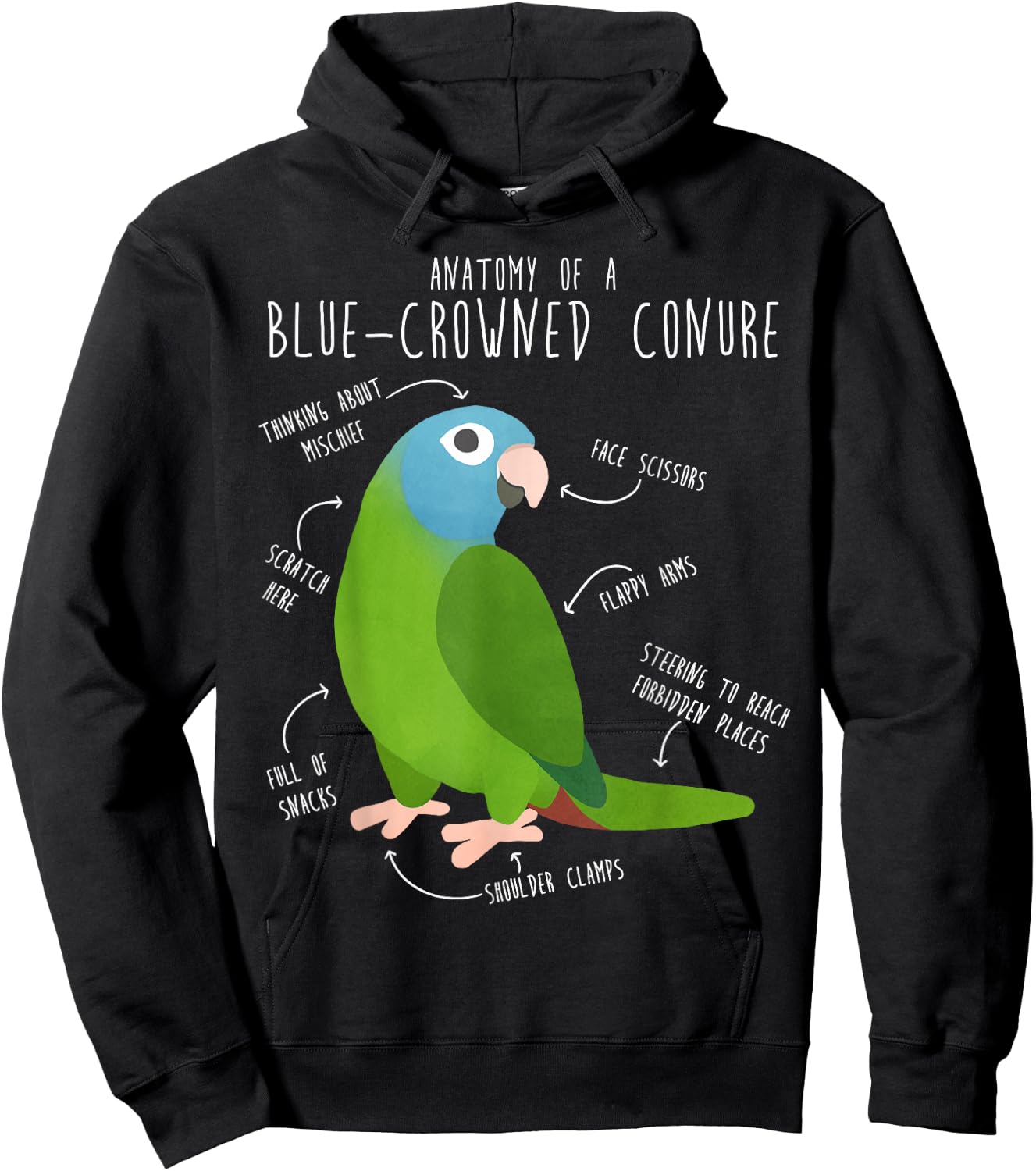 Blue-Crowned Conure Parrot Anatomy, Funny Cute Pet Bird Mom Hoodie - Hoodie | Black