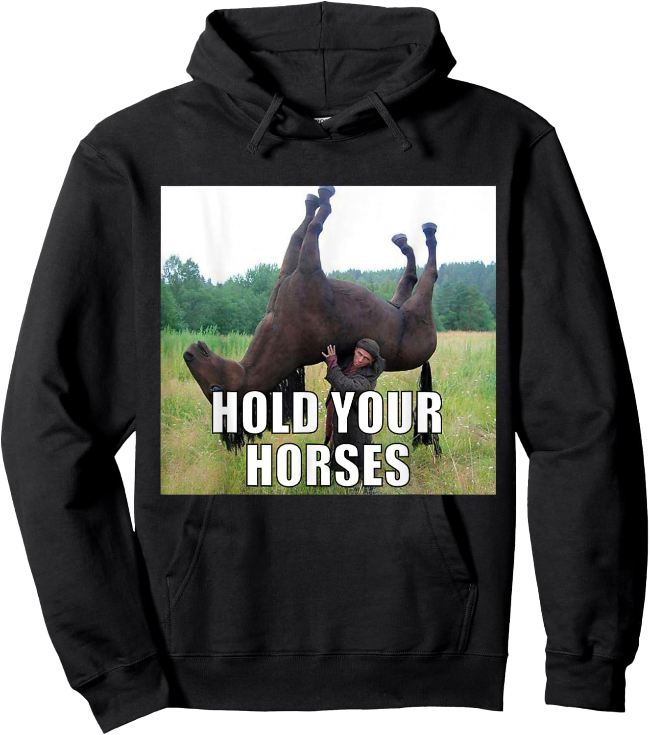 Hold Your Horses Funny Meme Hoodie - Hoodie | Black