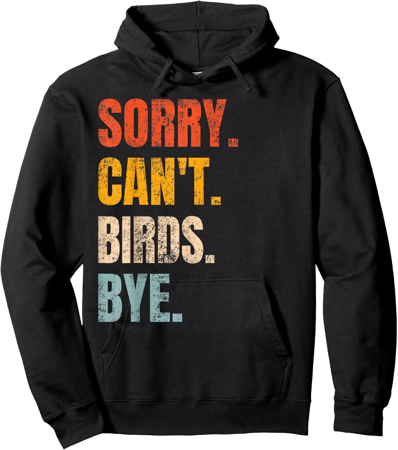 Sorry Can't Birds Bye Retro Bird Lover Cute Birding Watching Hoodie - Hoodie | Black