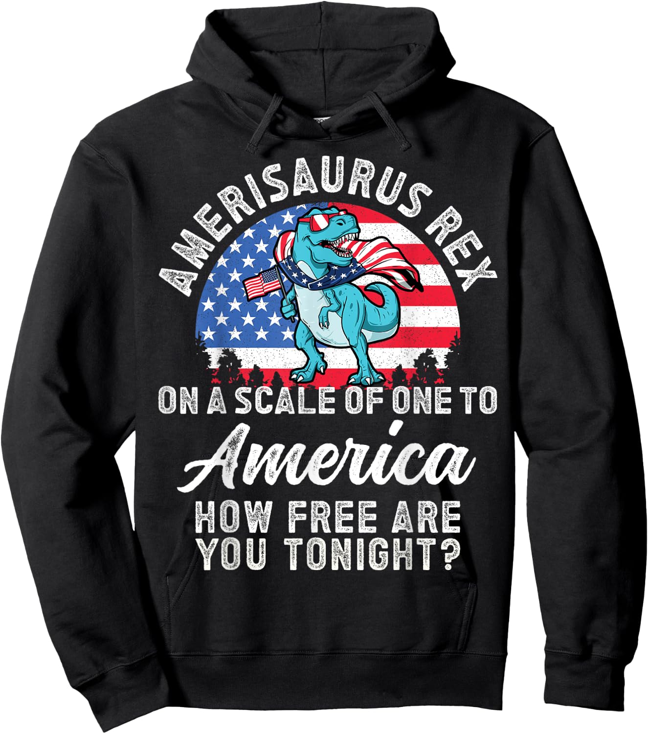 On a Scale of One To America How Free Are You Tonight T Rex Hoodie - Hoodie | Black