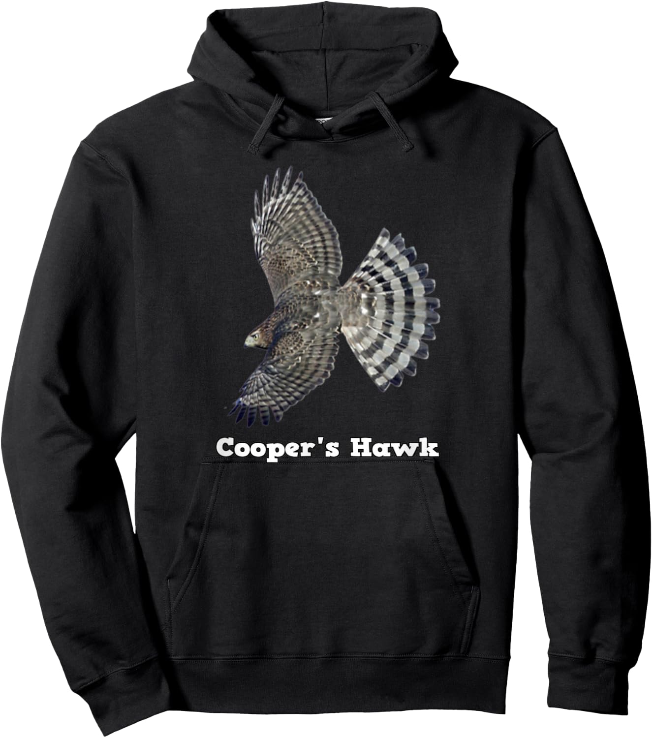 Cooper's Hawk Wildlife Hoodie - Hoodie | Black