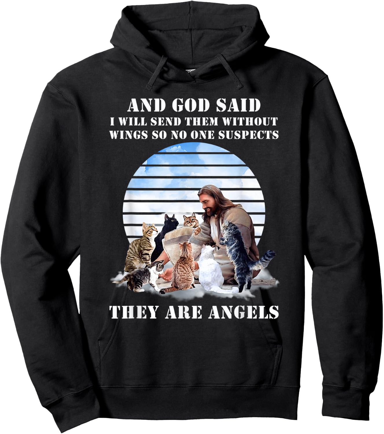 And God Said I Will Send Them Without Wings Cat Jesus Lovers Men Women Hoodie - Hoodie | Black