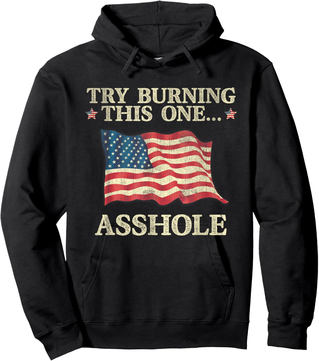 Try Burning This One Asshole American Flag Vintage Women Men Hoodie - Hoodie | Black