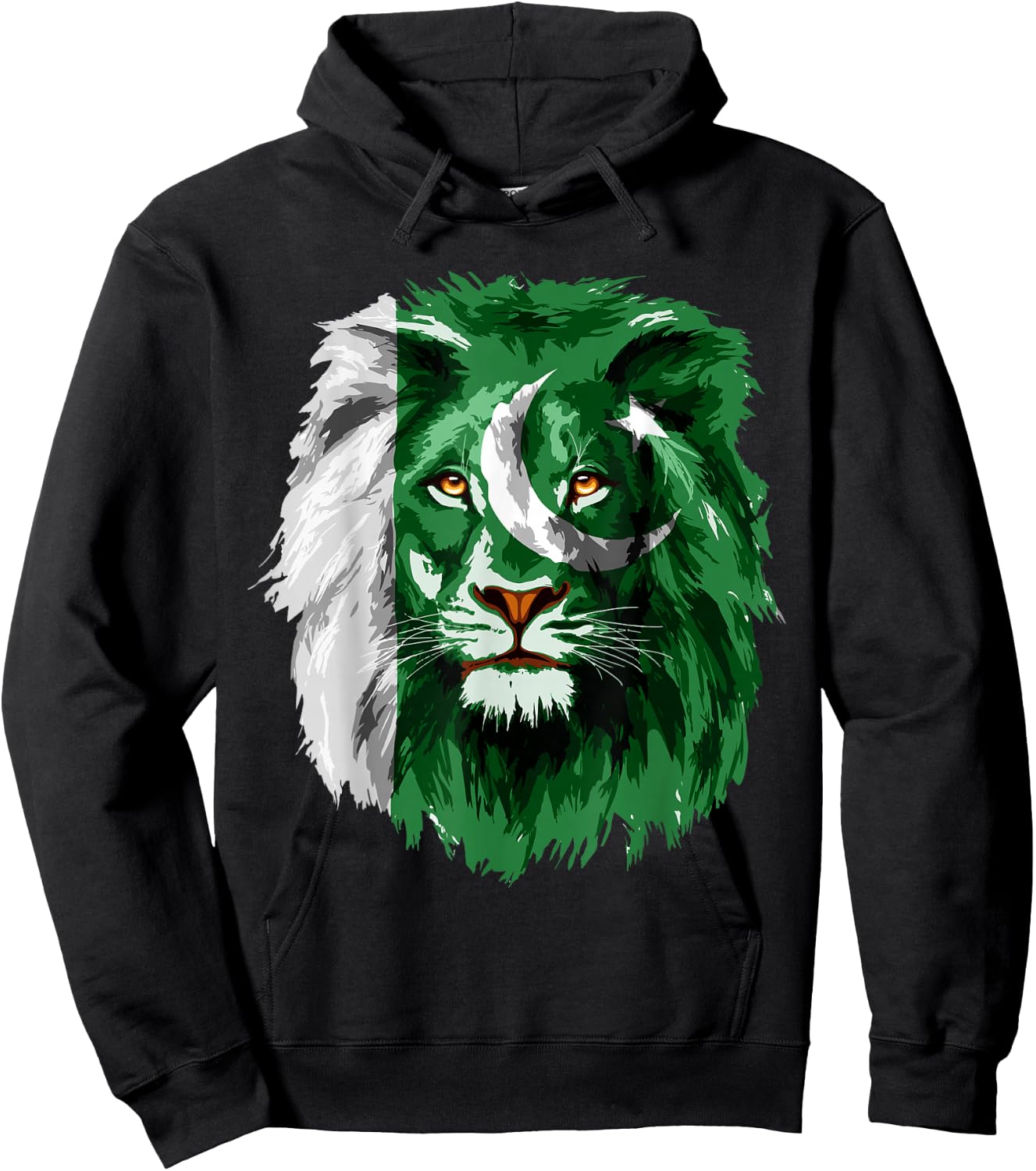Pakistan Flag Lion Face Pakistani Pride Vintage Hoodie - Hoodie | Black
