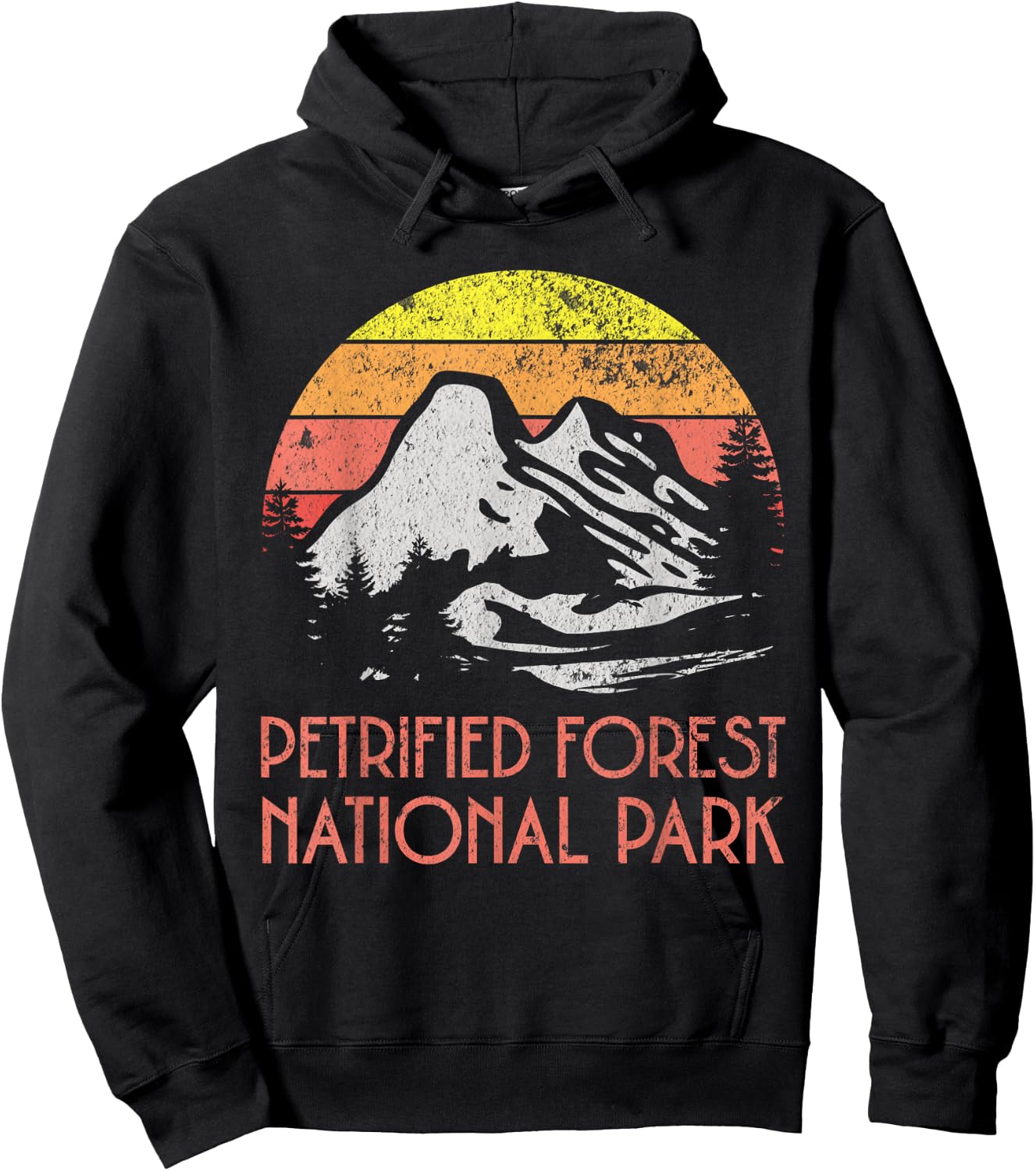 Petrified Forest National Park Hoodie - Hoodie | Black