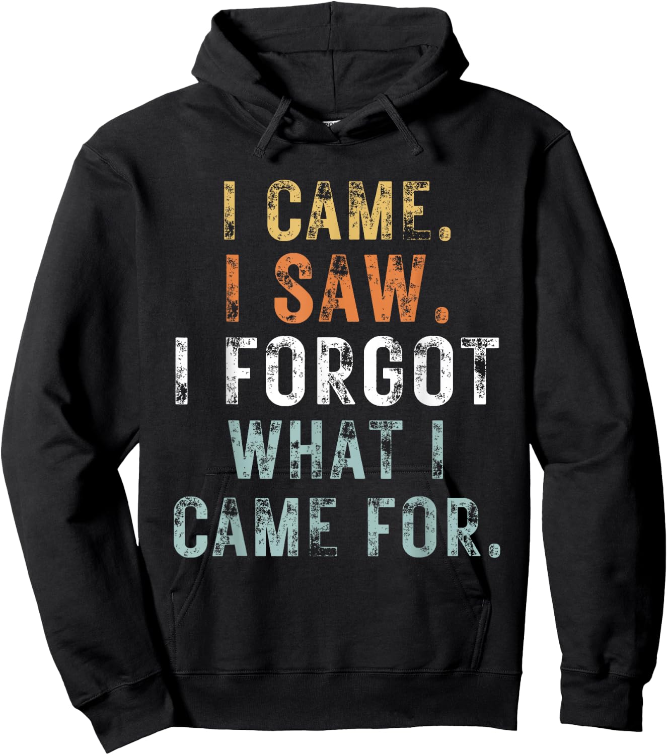 I Came I Saw I Forgot what i came for Funny Graphic Design Hoodie - Hoodie | Black