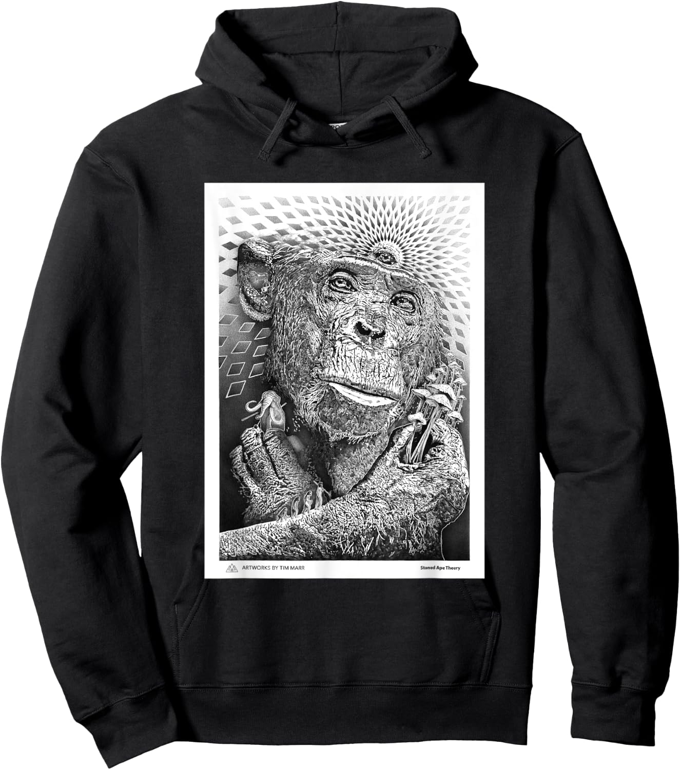 Stoned Ape Theory Hoodie - Hoodie | Black