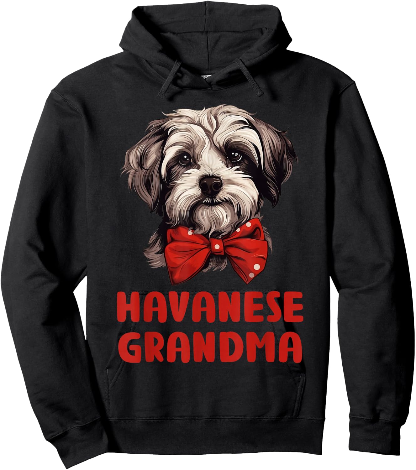 Cute Havanese Grandma Dog Lovers Gift Funny Havanese Owner Women Girls Kids Hoodie - Hoodie | Black