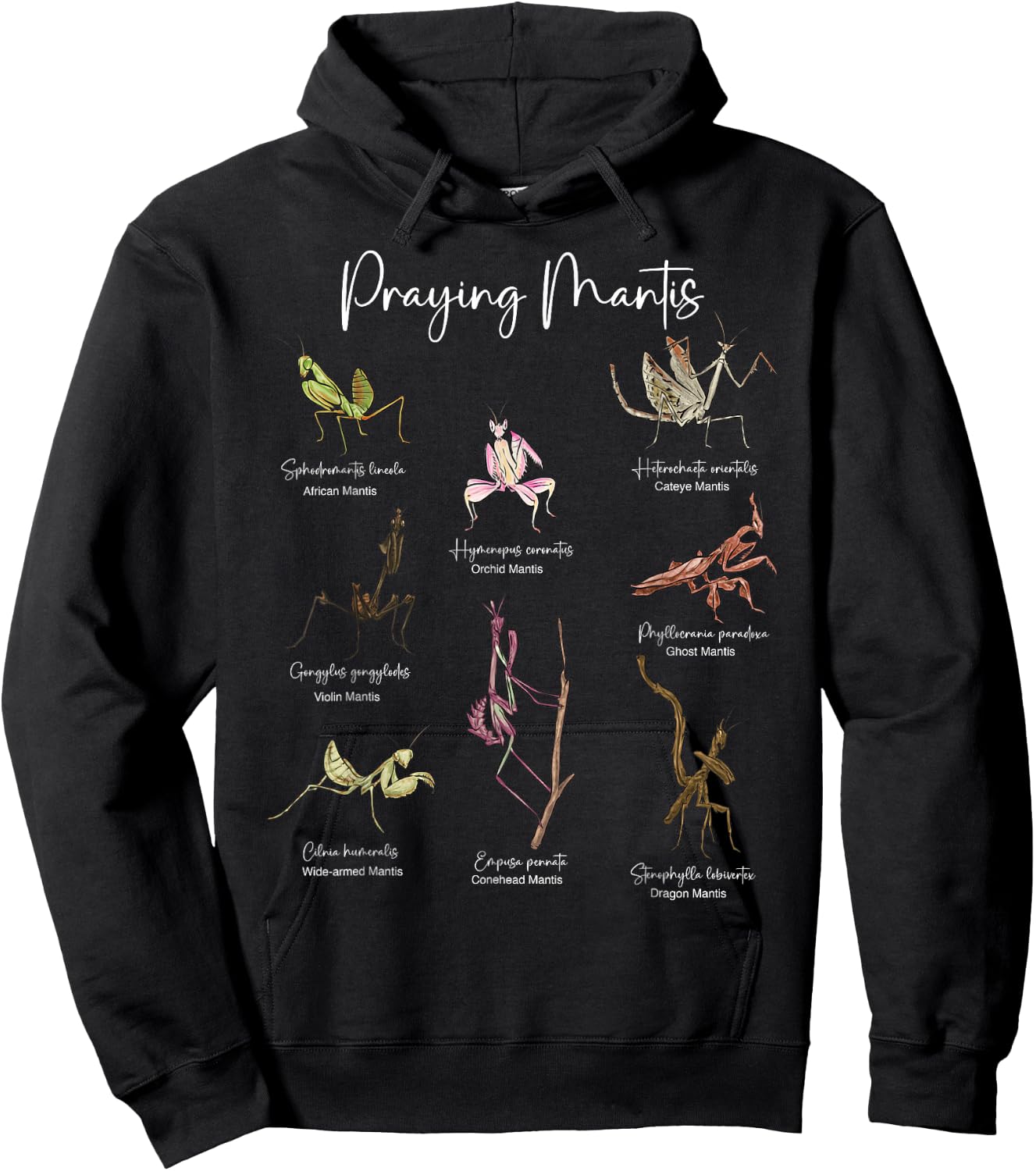 Types Of Praying Mantis Insect Collector Entomologist Hoodie - Hoodie | Black