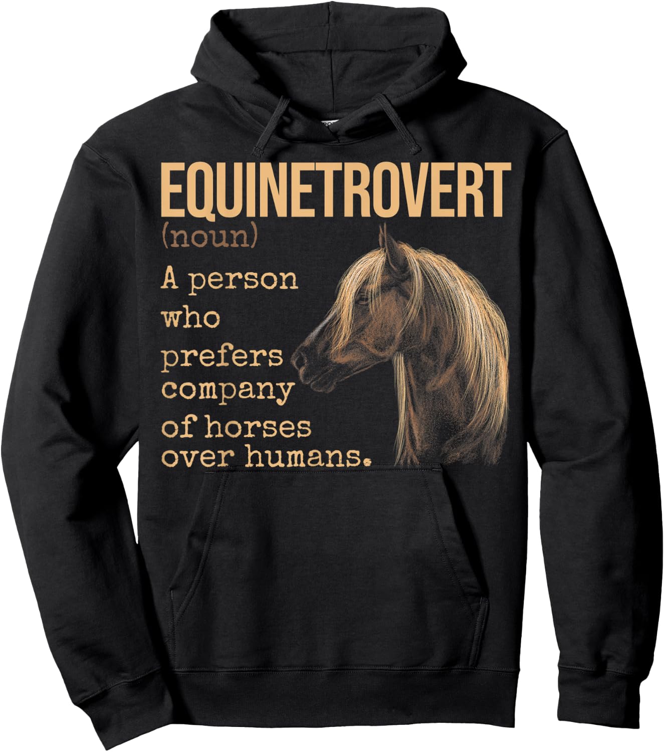 Equinetrovert Definition Equestrian Horse Lover Hoodie - Hoodie | Black