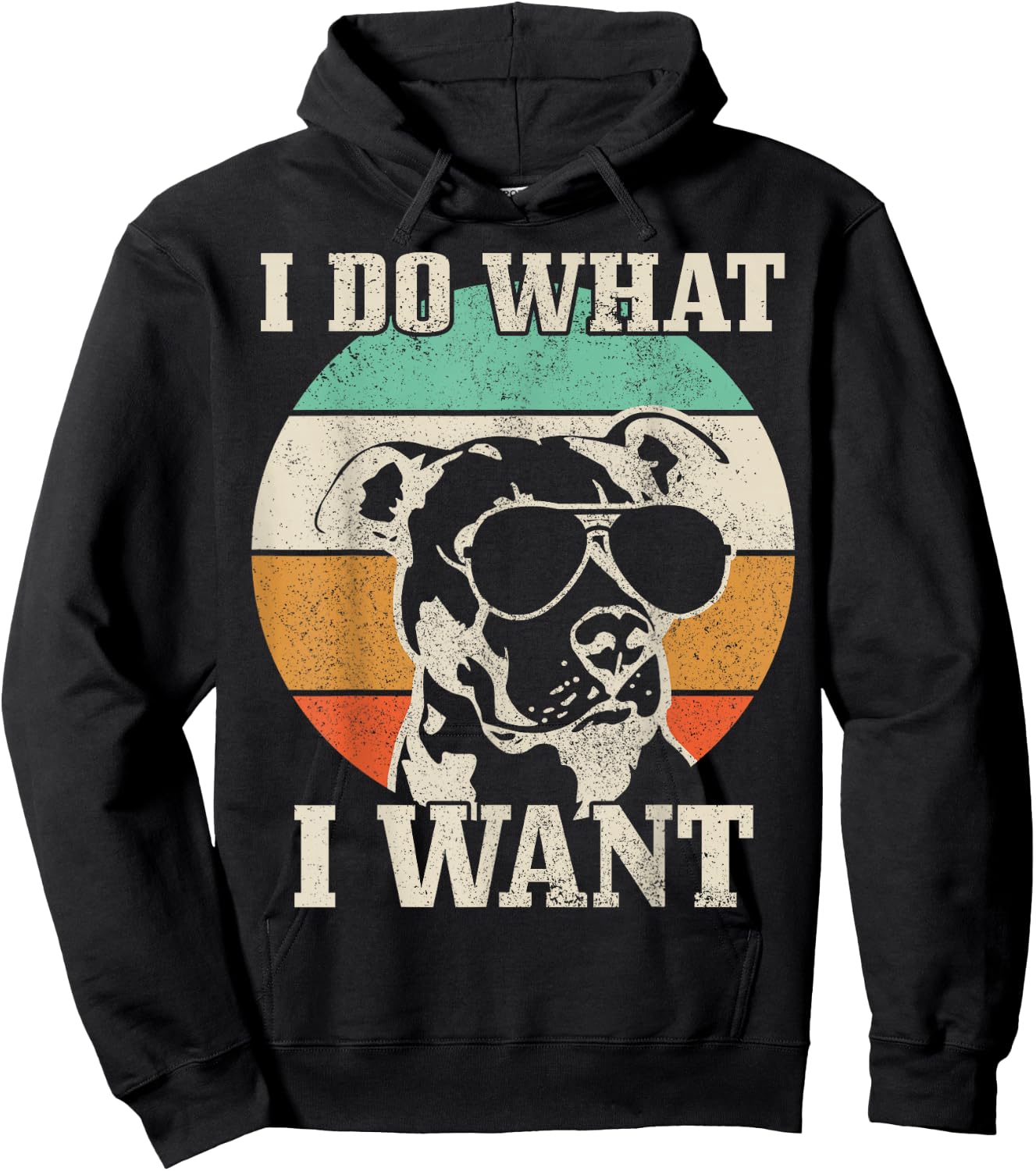 Pitbull Do What I Want Funny Dog Vintage Pitbull Mom Hoodie - Hoodie | Black