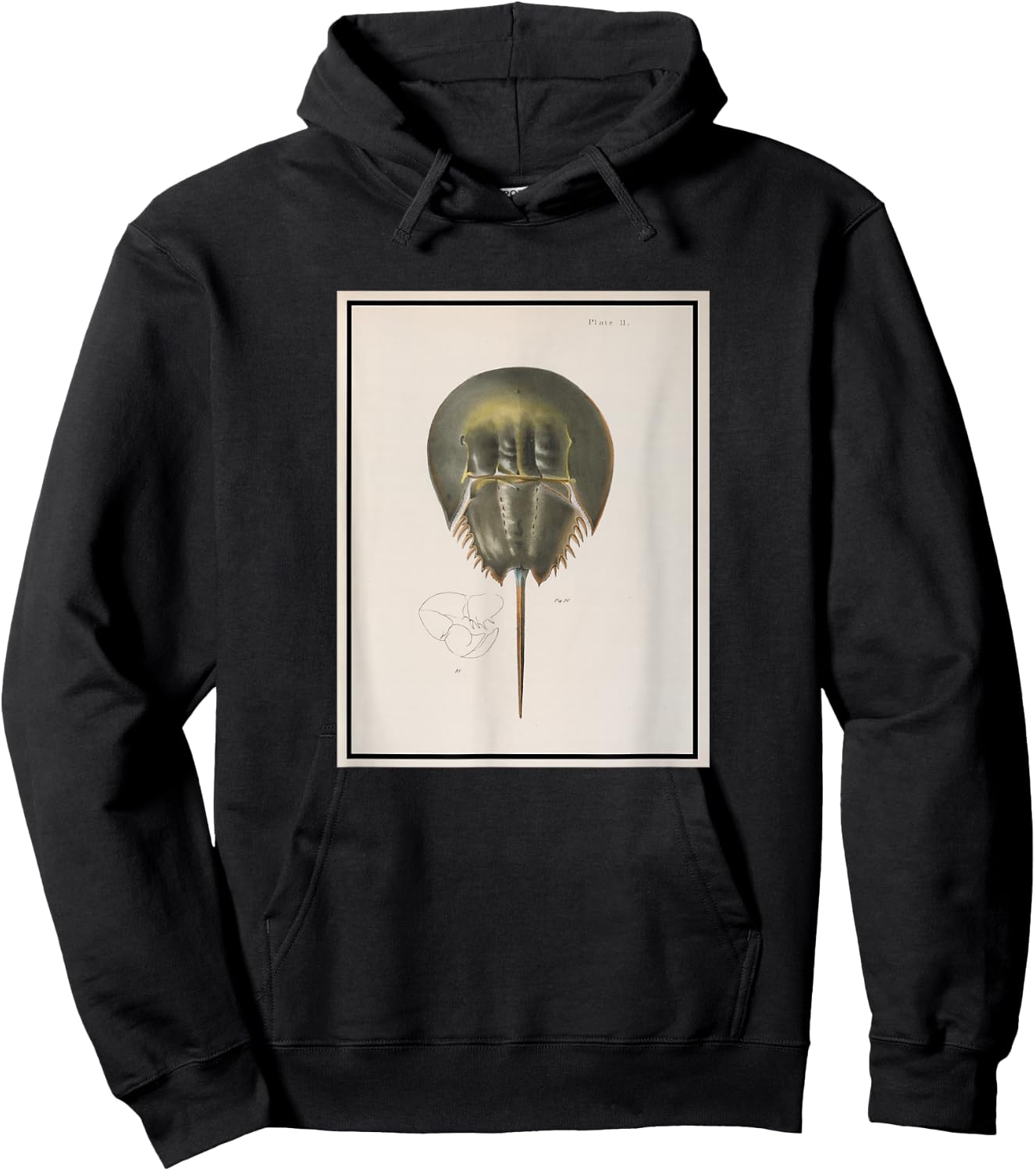 Vintage Horseshoe Crab Illustration (1844) Hoodie - Hoodie | Black