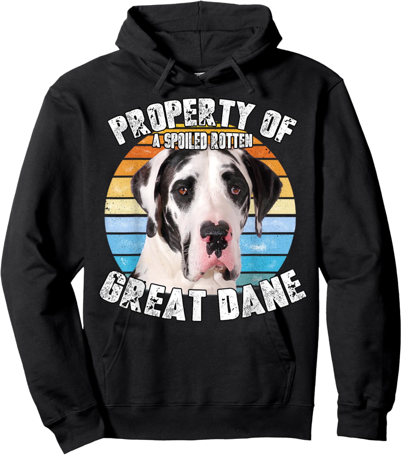 Great Dane Harlequin Vintage Retro Property Of Hoodie - Hoodie | Black